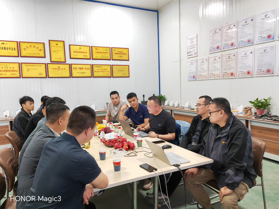 真人麻将(官方)最新IOS/安卓版/手机版APP下载